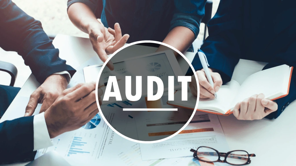 Audit Ready and Organized Financial Records